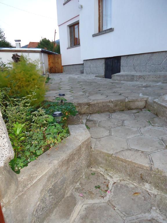 Guest House Ahp Mala Tsurkva Room photo