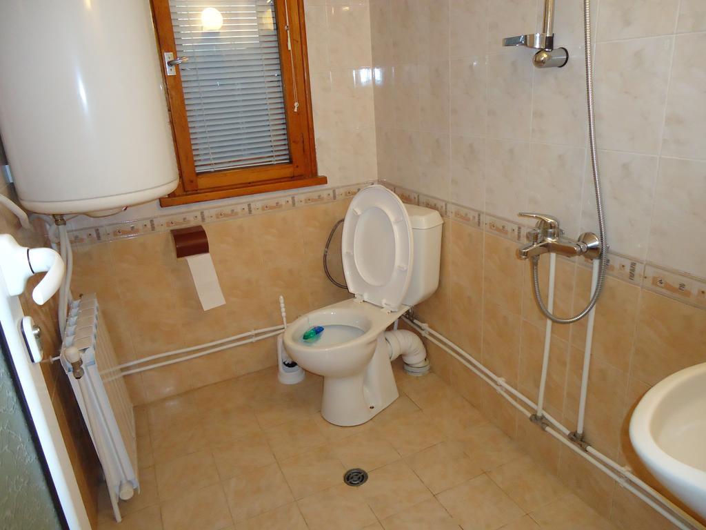 Guest House Ahp Mala Tsurkva Room photo